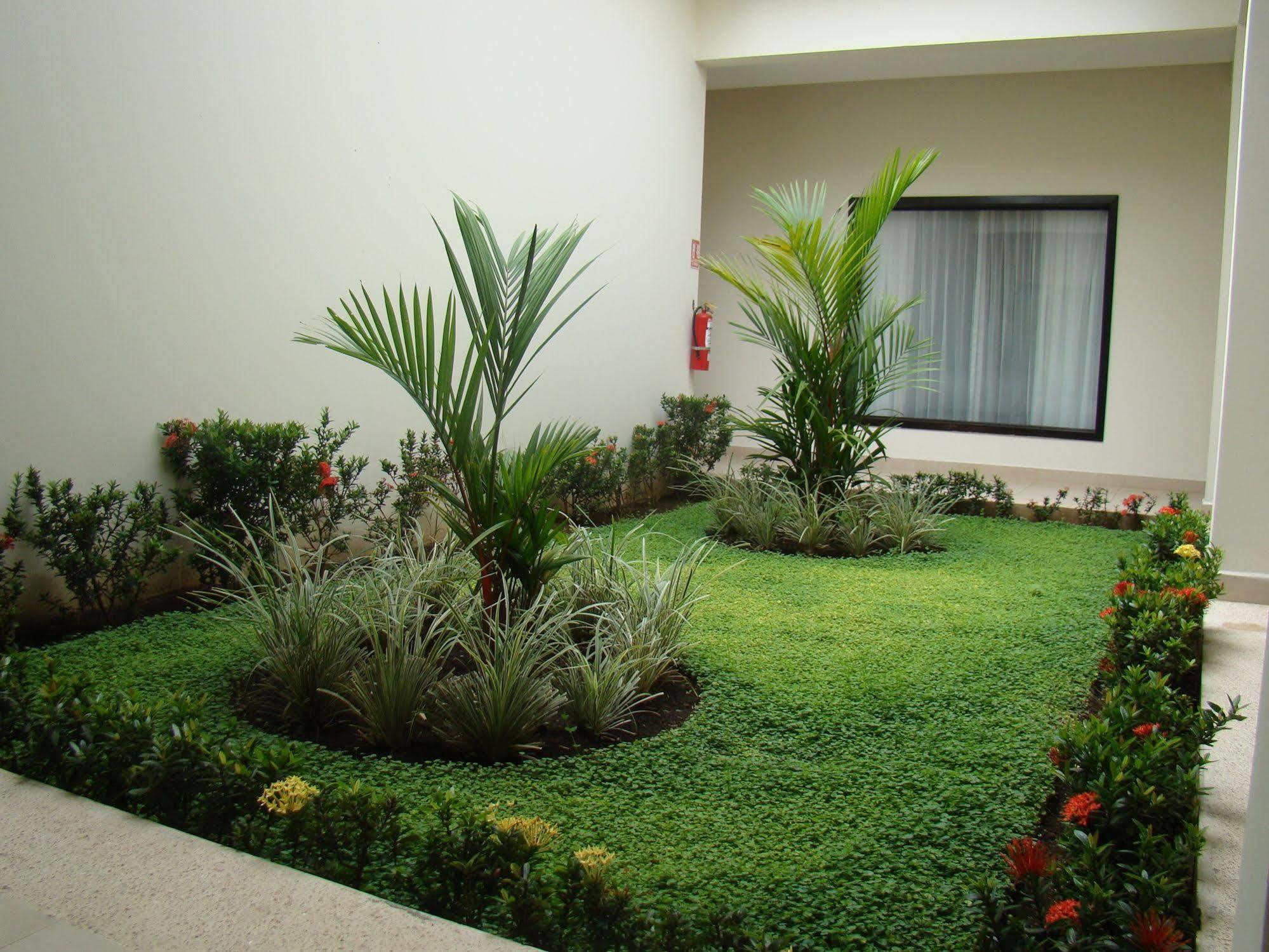 Hotel Contempo Managua Dış mekan fotoğraf